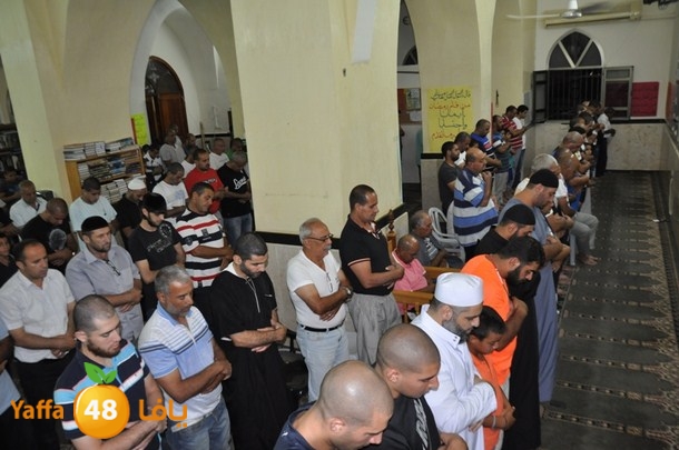 tarawee7 jablaiya (10).JPG